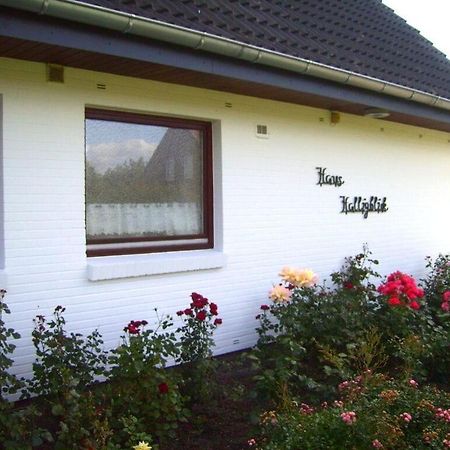 Hooge In The Haus Halligblick Dagebüll Buitenkant foto